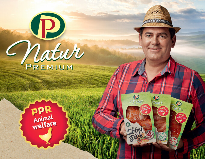 INTERNET PP NOV 2019 PPR AUT 5 copy